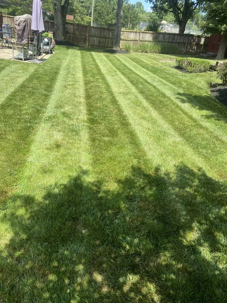 Affordable outdoor landscaping for beautiful yards in Damascus, MD by D & D Landscaping