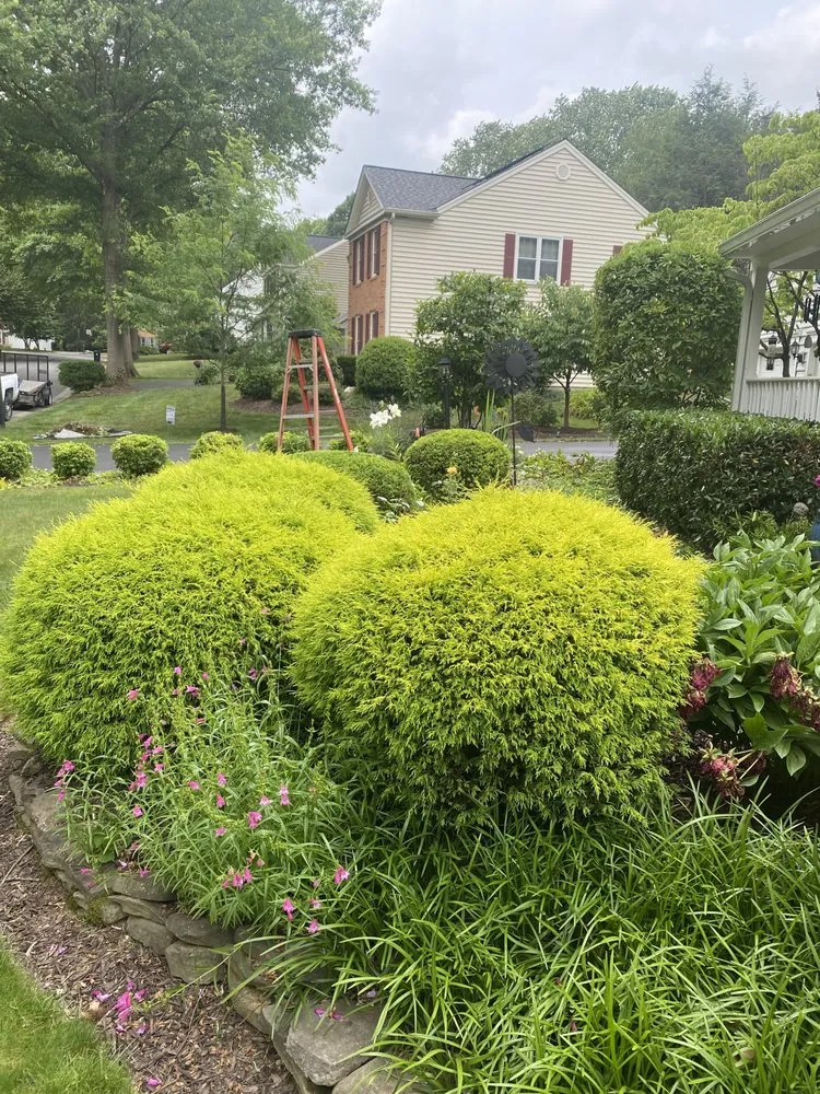 Reliable yard maintenance in Damascus, MD - D & D Landscaping