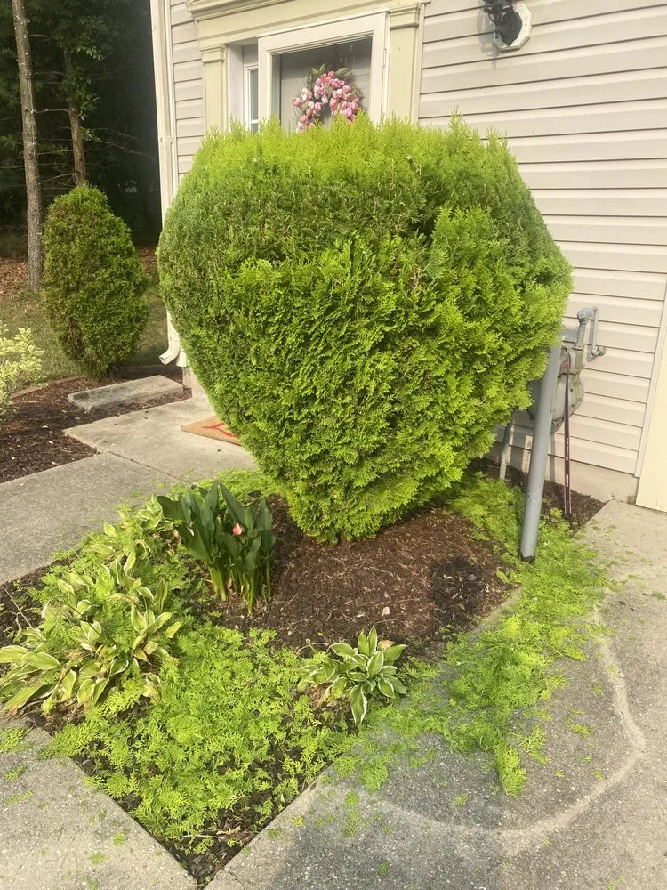 Expert yard cleanup service near you in Damascus, MD by D & D Landscaping