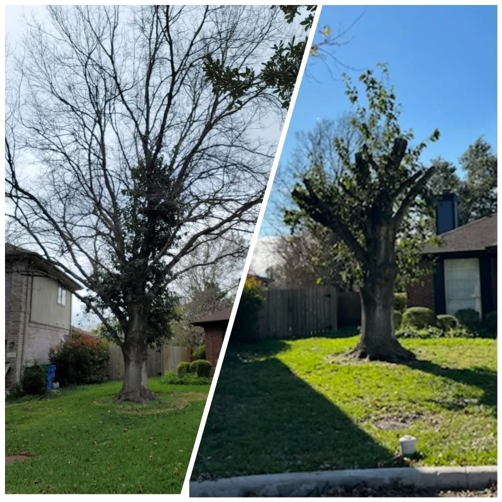 Reliable garden landscaping in Caldwell, TX - D & D Lawn & Tree Care