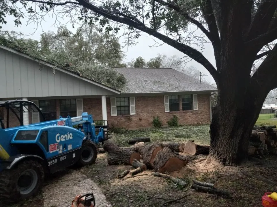 Reliable yard cleanup service near you in Caldwell, TX by D & D Lawn & Tree Care