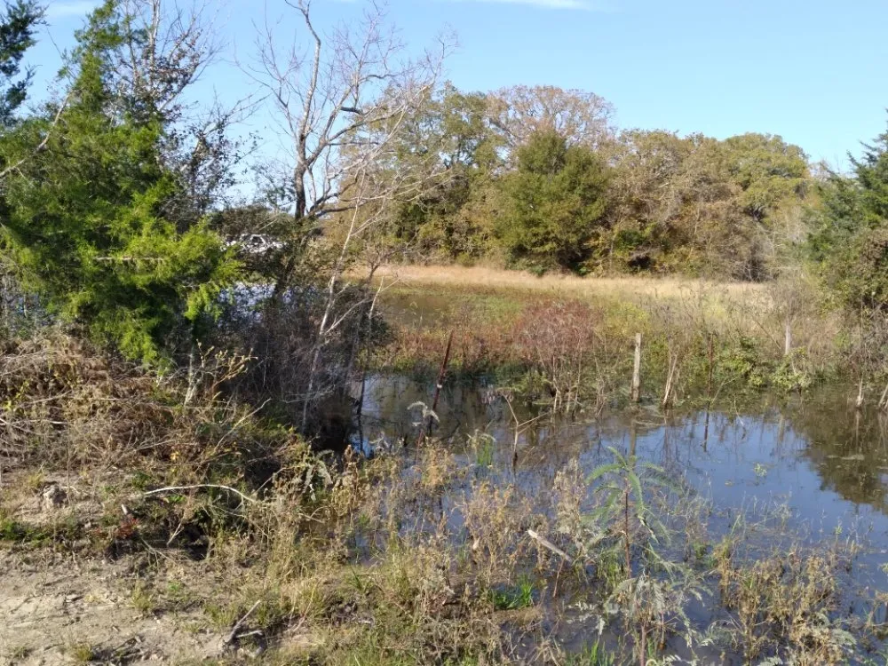 Affordable garden landscaping experts serving Caldwell, TX - D & D Lawn & Tree Care