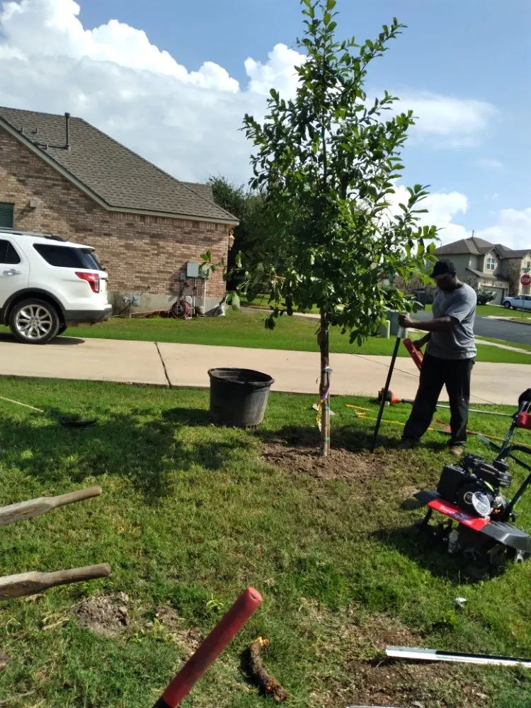 Top-rated yard maintenance with custom design in Caldwell, TX by D & D Lawn & Tree Care