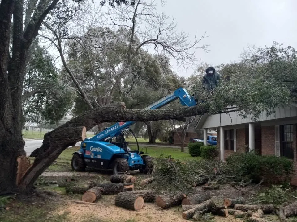 Affordable outdoor landscaping in Caldwell, TX - D & D Lawn & Tree Care