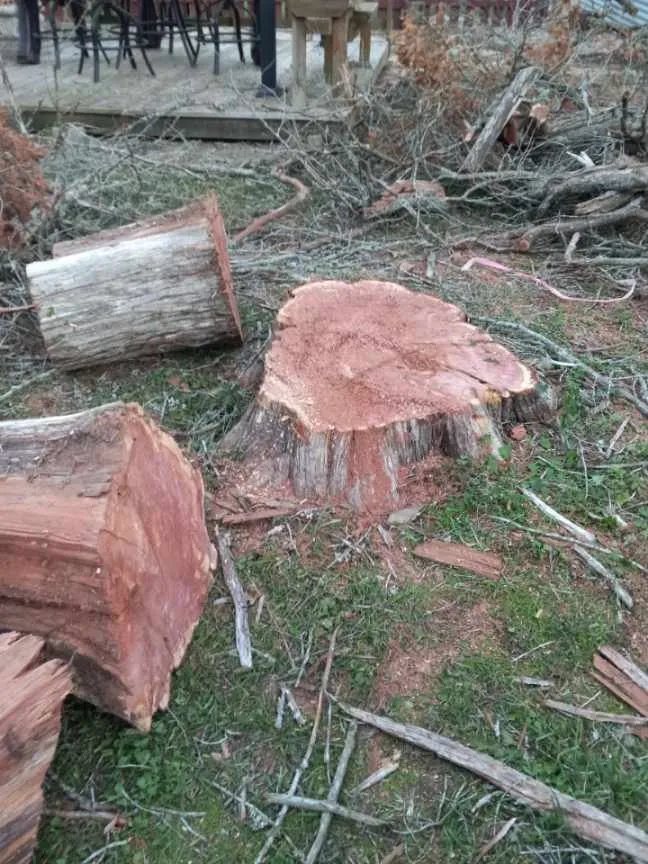 Trusted yard maintenance experts serving Caldwell, TX - D & D Lawn & Tree Care