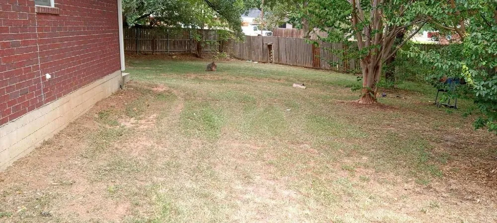 Affordable outdoor landscaping for outdoor upgrades across Caldwell, TX - D & D Lawn & Tree Care