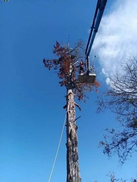 Expert garden landscaping experts serving Caldwell, TX - D & D Lawn & Tree Care