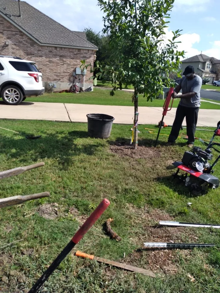 Top-rated garden landscaping near you across Caldwell, TX - D & D Lawn & Tree Care