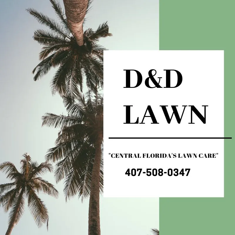 Trusted yard cleanup service in St Cloud, FL - D & D Lawn Maintenance