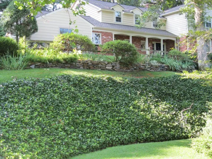 Trusted landscaping services in Leesburg, VA - D & D Lawn Service