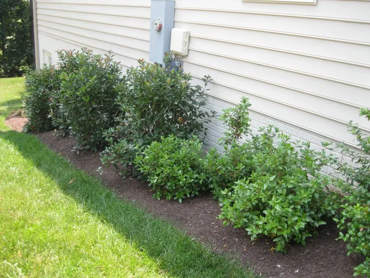 Affordable garden landscaping in Leesburg, VA by D & D Lawn Service