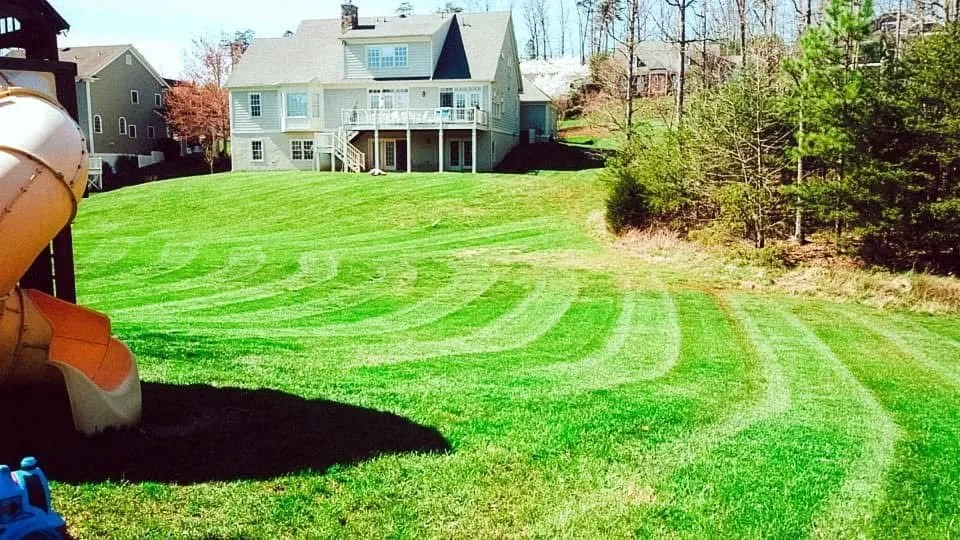 Professional yard maintenance in Ruckersville, VA by D & D Lawncare