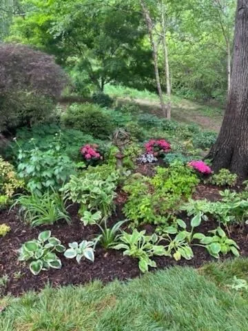 Top-rated lawn mowing service in Ruckersville, VA - D & D Lawncare