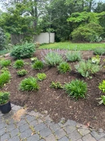 Reliable yard maintenance with custom design across Ruckersville, VA - D & D Lawncare