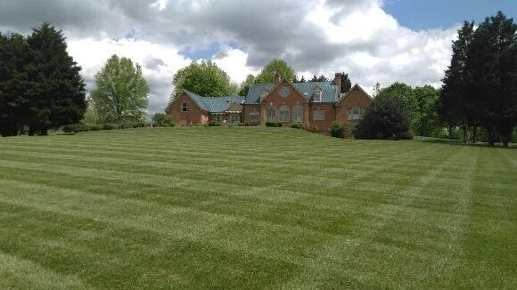 Custom lawn care service for residential properties in Ruckersville, VA by D & D Lawncare