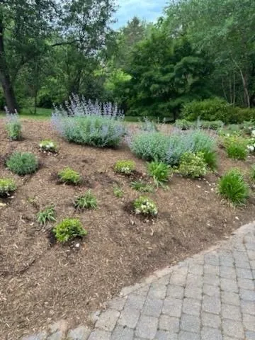 Professional lawn care service for beautiful yards across Ruckersville, VA - D & D Lawncare