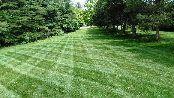 Custom lawn mowing service for year-round maintenance in Ruckersville, VA by D & D Lawncare