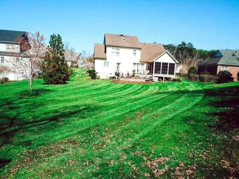 Professional lawn care service experts serving Ruckersville, VA - D & D Lawncare