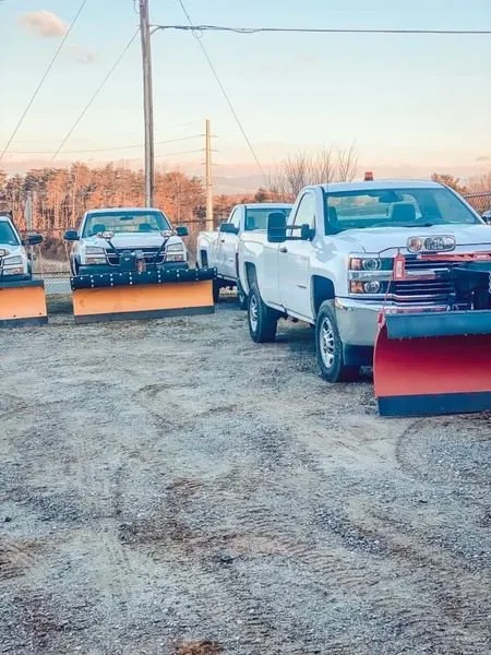 Professional yard cleanup service in Ruckersville, VA - D & D Lawncare