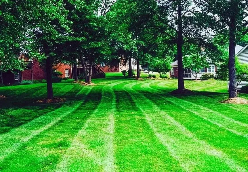 Trusted yard cleanup service experts serving Ruckersville, VA - D & D Lawncare