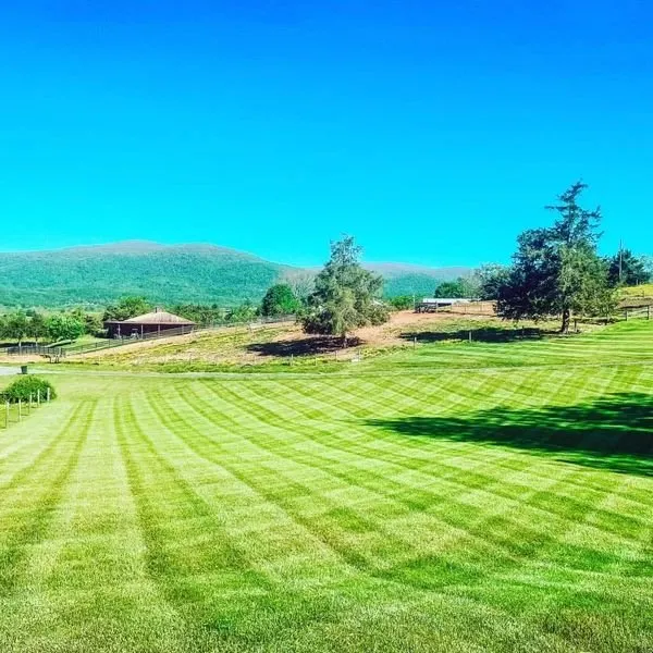 Professional landscaping services experts serving Ruckersville, VA - D & D Lawncare