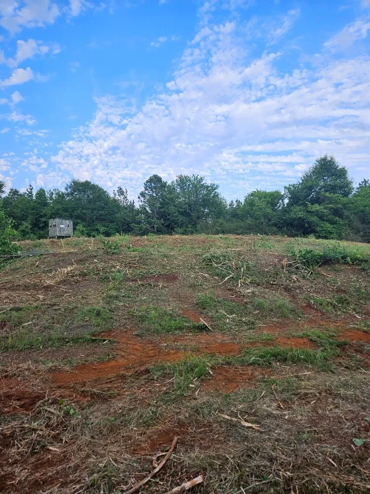 Custom lawn mowing service in San Augustine, TX - D & D Mulching