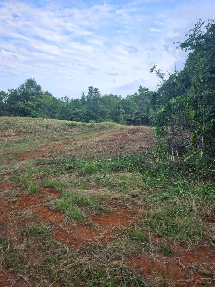 Professional landscape installation for beautiful yards in San Augustine, TX by D & D Mulching