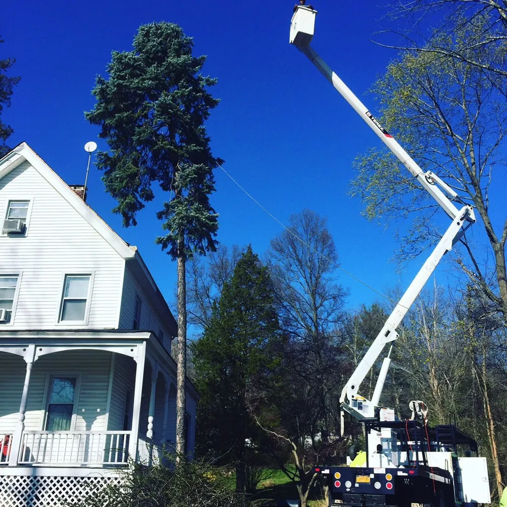 Top-rated landscape installation for outdoor upgrades in Nanuet, NY by D & D Tree & Landscape