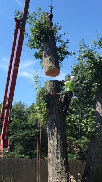 Local yard cleanup service with custom design in Nanuet, NY by D & D Tree & Landscape