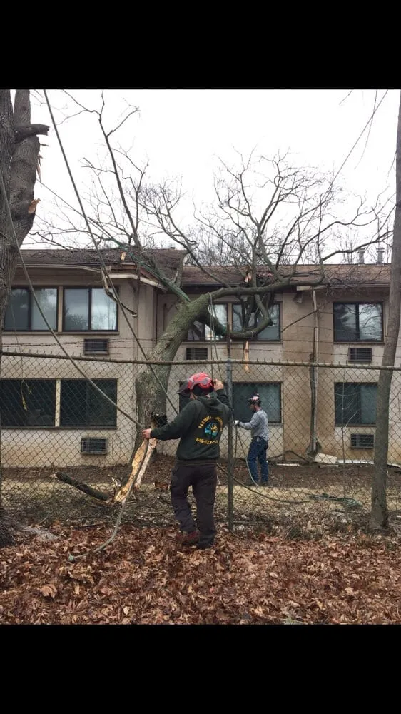 Expert landscaping services for beautiful yards in Nanuet, NY by D & D Tree & Landscape