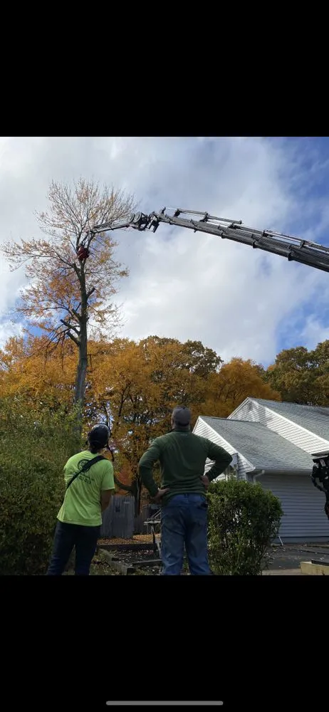 Professional yard cleanup service with custom design across Nanuet, NY - D & D Tree & Landscape