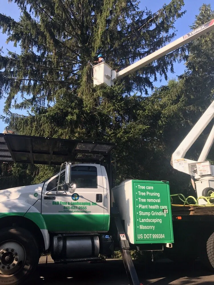 Local landscape design for outdoor upgrades in Nanuet, NY by D & D Tree & Landscape