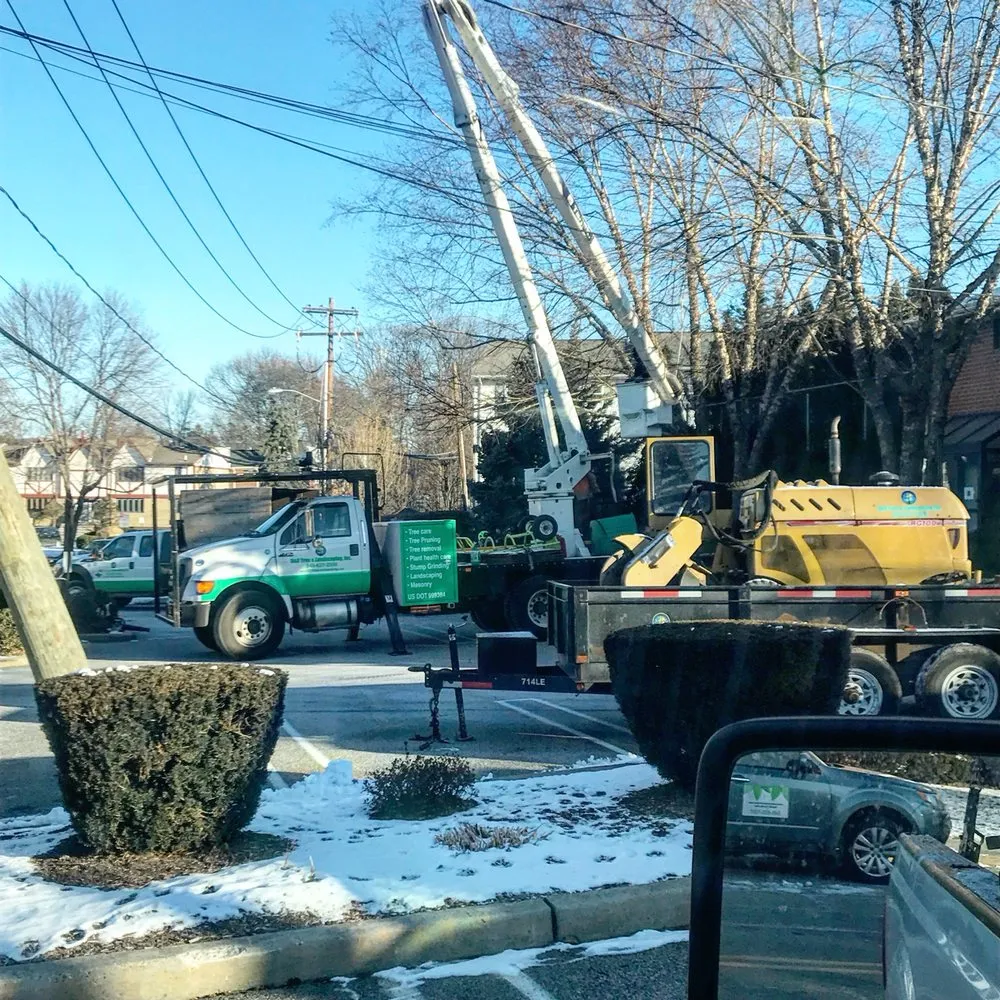 Professional outdoor landscaping for year-round maintenance across Nanuet, NY - D & D Tree & Landscape