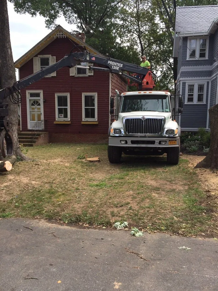 Reliable yard cleanup service in Nanuet, NY by D & D Tree & Landscape