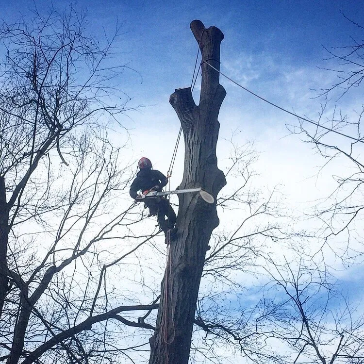 Professional lawn mowing service experts serving Nanuet, NY - D & D Tree & Landscape