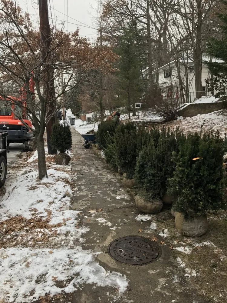 Affordable lawn mowing service in Nanuet, NY - D & D Tree & Landscape