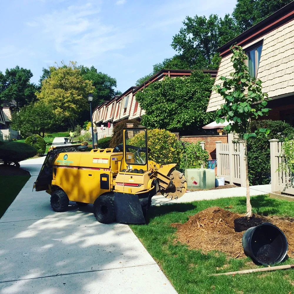Trusted landscape installation for outdoor upgrades across Nanuet, NY - D & D Tree & Landscape