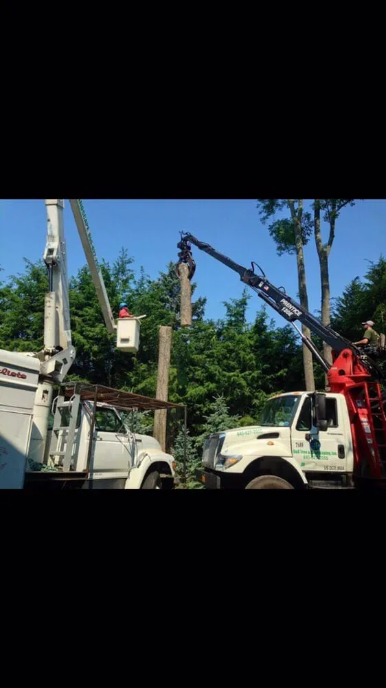 Trusted garden landscaping in Nanuet, NY by D & D Tree & Landscape