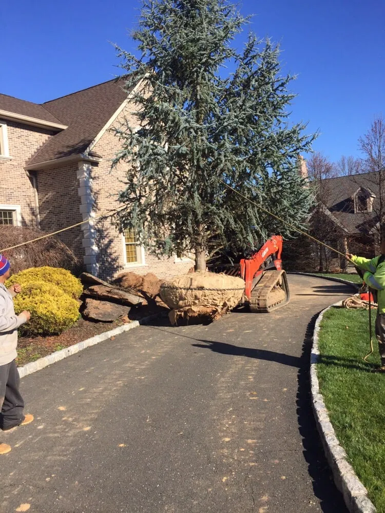 Professional yard maintenance in Nanuet, NY - D & D Tree & Landscape