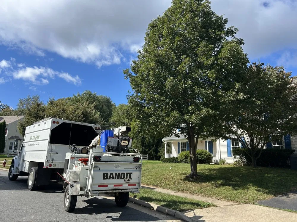 Expert lawn care service for year-round maintenance across Leesburg, VA - D & D Tree Care And Landscape