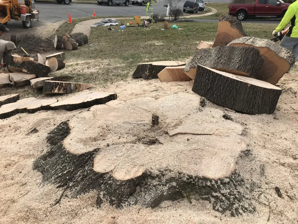 Professional landscaping services for beautiful yards in Leesburg, VA by D & D Tree Care And Landscape