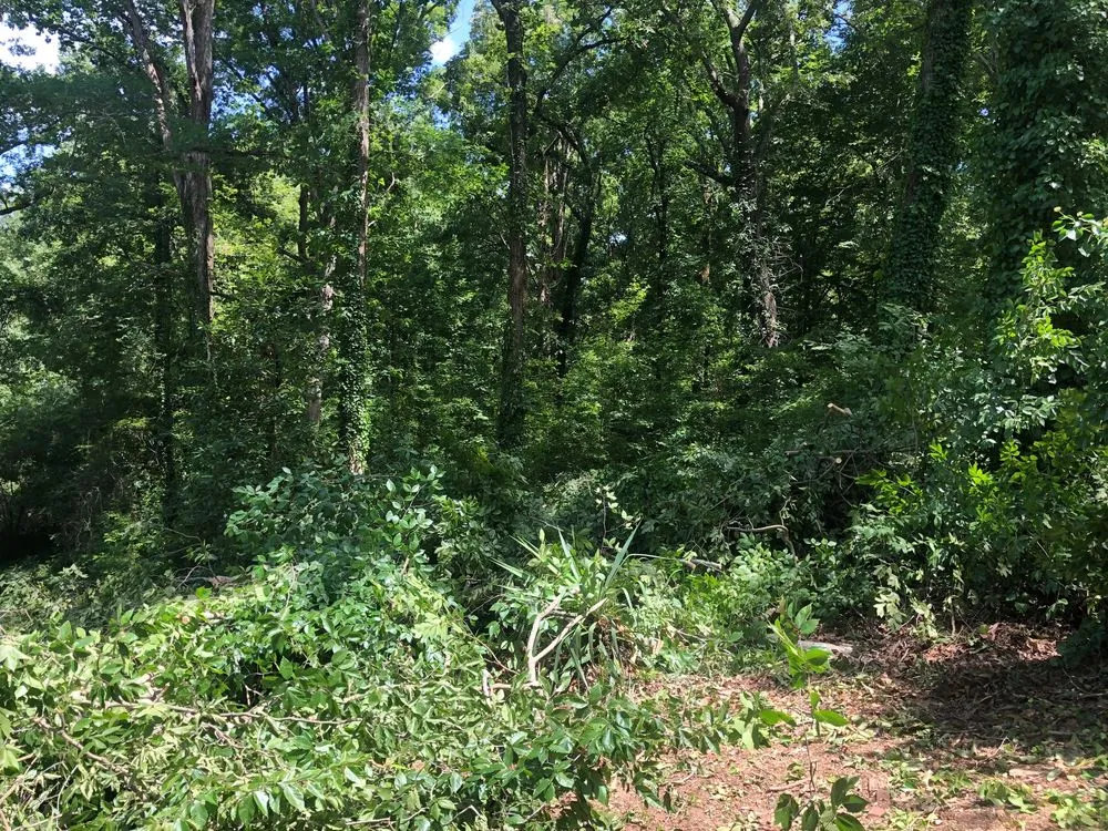 Expert residential landscaping in Atlanta, GA - D & D Tree Service