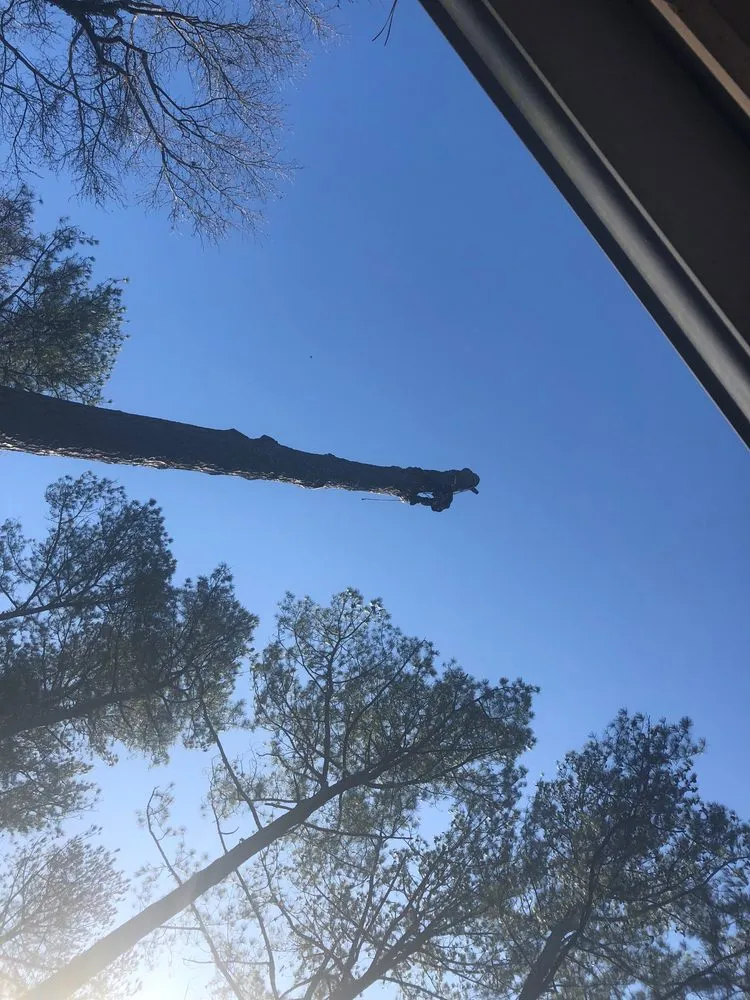 Top-rated landscape installation in Atlanta, GA - D & D Tree Service