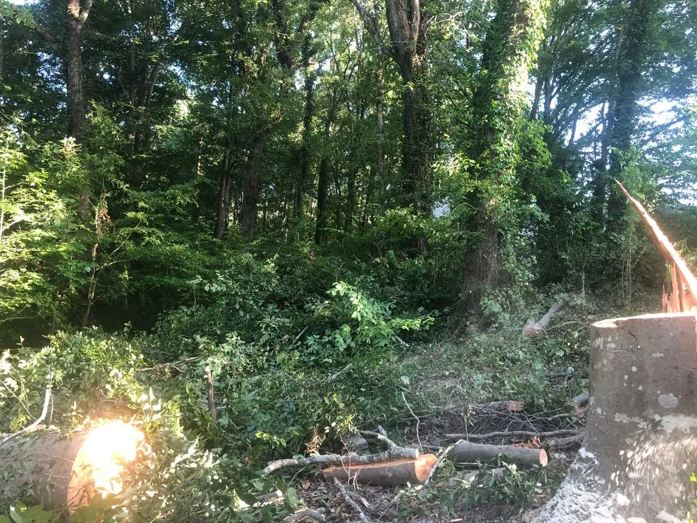 Expert lawn care service for homes across Atlanta, GA - D & D Tree Service