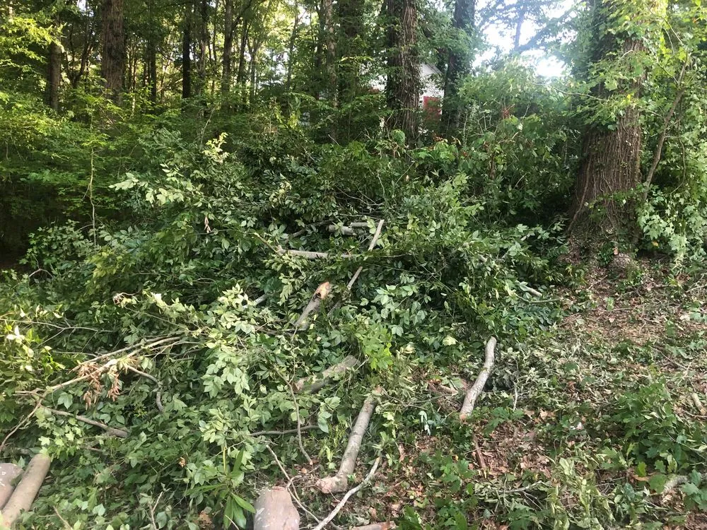 Professional outdoor landscaping in Atlanta, GA - D & D Tree Service