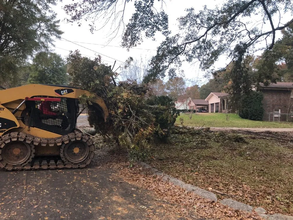 Custom yard maintenance in Atlanta, GA by D & D Tree Service
