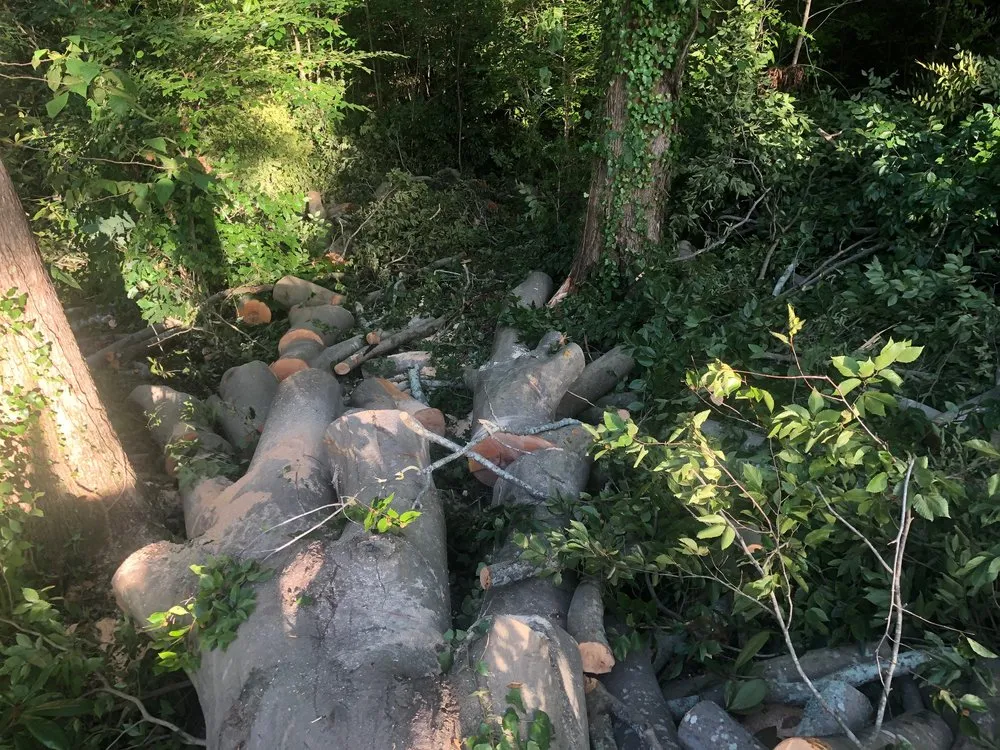 Local landscape installation for outdoor upgrades in Atlanta, GA by D & D Tree Service