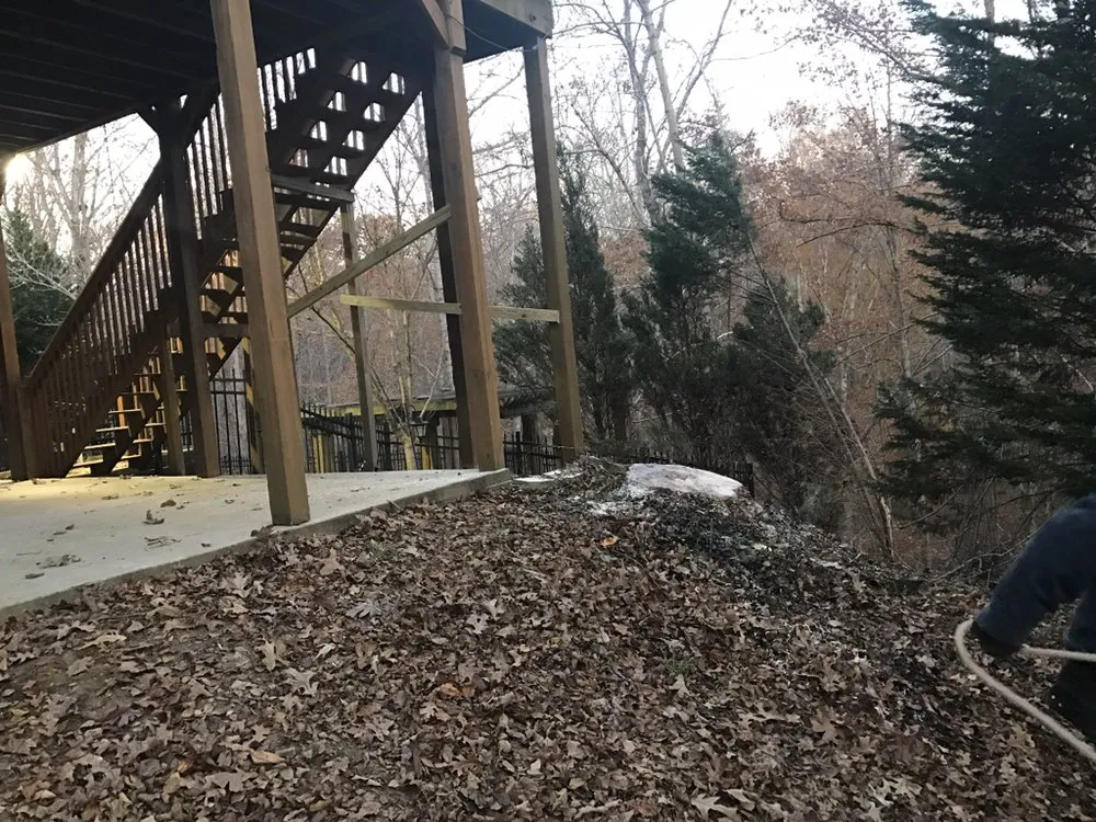 Affordable yard cleanup service in Atlanta, GA - D & D Tree Service