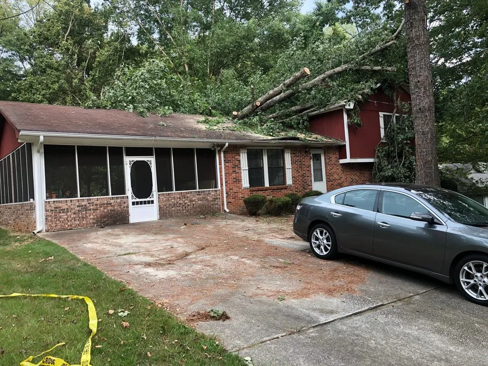 Local lawn care service in Atlanta, GA - D & D Tree Service