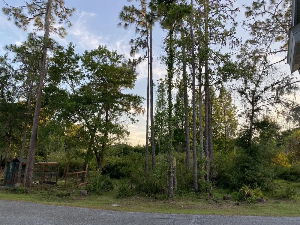 Trusted residential landscaping in Wesley Chapel, FL - D & D Tree Service